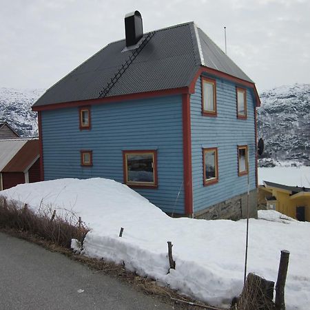 The Blue House, Roldal Villa Bagian luar foto